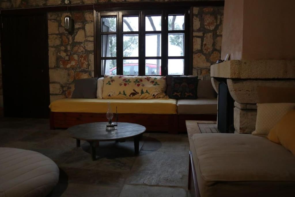 Wood & Stone Dream View House B Villa Diaporos Exterior photo