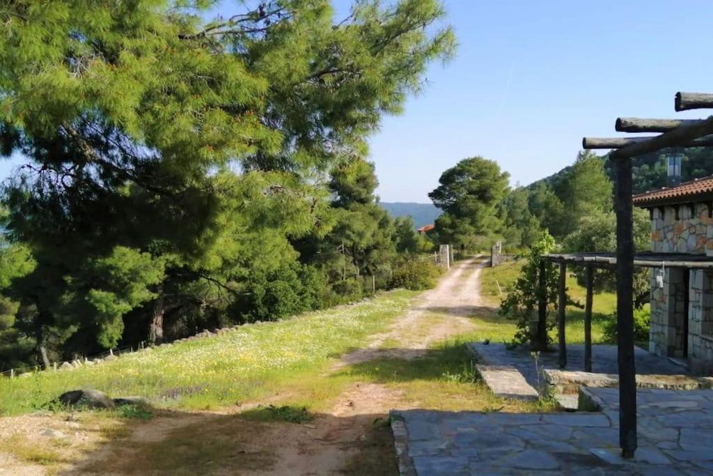 Wood & Stone Dream View House B Villa Diaporos Exterior photo